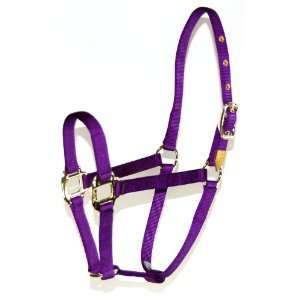   Arabian Horse Halter for 500 to 800 Pound Horse, Purple
