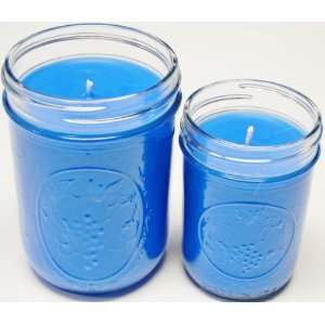   16oz Mason Jar Soy Candle   Smoke & Odor Eliminator 