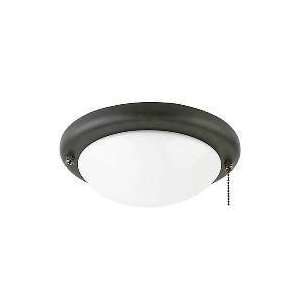  1648 07   SeaGull Lighting Ceiling Fan Light Kit