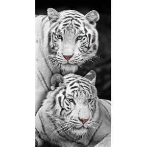 White Tigers Twins Beach Towel 