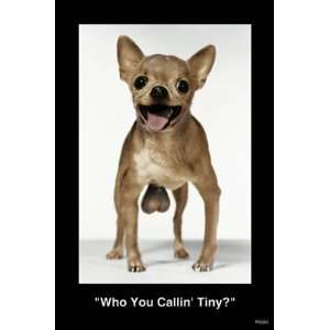   YOU CALLING TINY BALLS DOG 23.5x35 WALL POSTER 3835