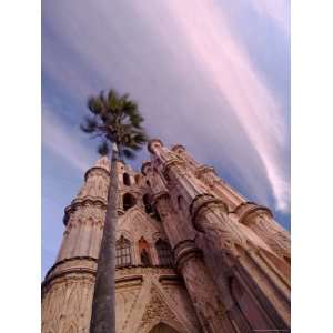 The Parroquia Church and Palm Tree, San Miguel De Allende 
