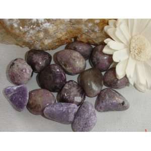  Lepidolite 1/4Lb Tumbled Stones Healing Reiki Chakra 