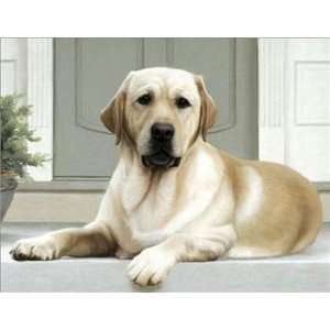 Yellow Lab on Porch Notecards