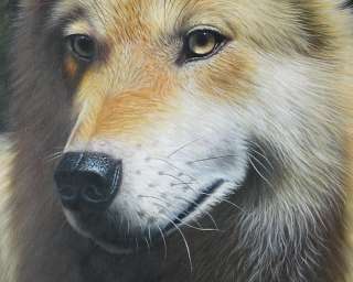 Handmade Oil painting Animal Wolf on canvas 20x24 A19  