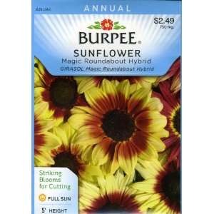  Burpee 39566 Sunflower Magic Roundabout Hybrid Seed Packet 
