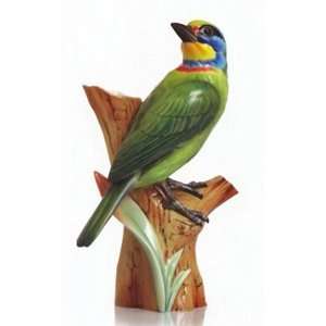  Mullers Barbet Bird Vase 