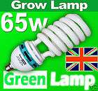 65w cfl  