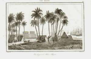 HAWAII HONOLULU 1836 original print   Rienzi  