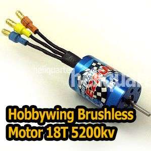 Hobbywing EZRun 18T/5200Kv 2030 motor 116/18 RC Auto  