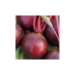  Pronto Beet   Pack 