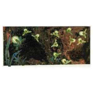 Fireflies From Over in the Meadow Giclee Poster Print by Ezra Jack 