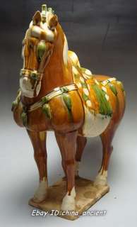 Rare Chinese Tang sancai Pottery Glaze Horse Statue  