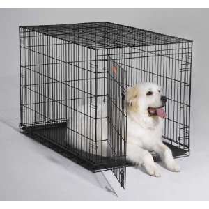  Midwest iCrate Single Door Folding Dog Crate