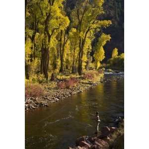  Fly Fishing, Limited Edition Photograph, Home Decor 