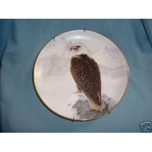    The American Bald Eagle By Perillo Collector Plate 