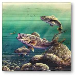  Wood Graphixs Inc. Feeding Walleyes Wall Art