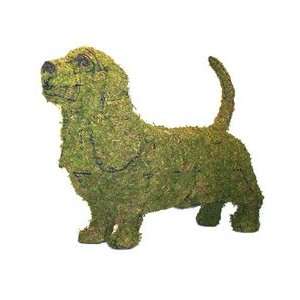  Basset Hound Mossed Topiary Frame