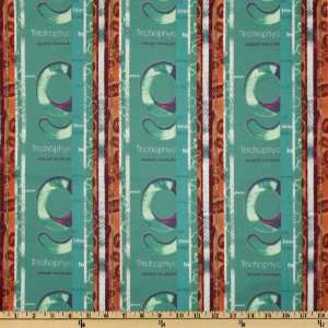 44 Wide Germania Rosse Buurt Stripe Green Fabric By The 