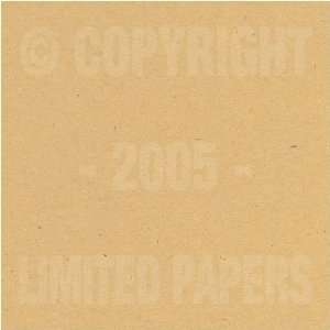 Genesis Fossil Vellum 80# Text 25x38 10 sheets/pack 