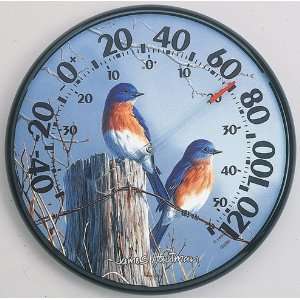 CHANEY INSTRUMENT CO., CHANEY BLUEBIRDS THERMOMETER, Part 