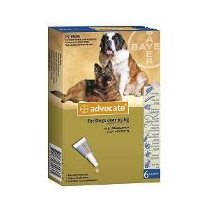  Advocate 6 Pack X Large Dogs over 25kg