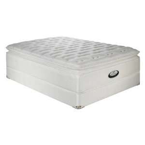   Exceptionale Offset SPT Plush Collette Mattress Set