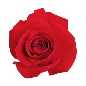 Paper House Magnets 1/Pkg   Red Rose Red Rose 