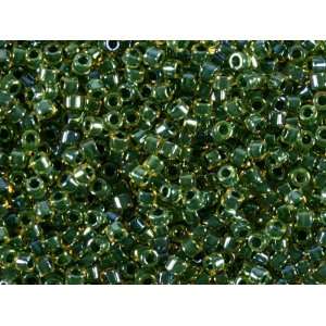    8g Color Lined Amber/Green Delica Seed Beads Arts, Crafts & Sewing