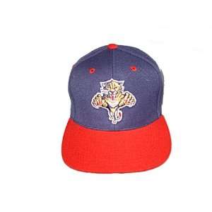 Florida Panthers nhl hockey cap hat   one size fit   80% 
