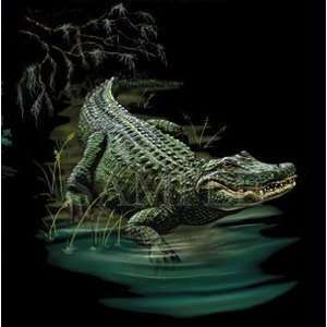  Alligator Shirts