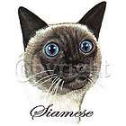 Domestic Shorthair Cat Sweatshirt, Cinnamon Tabby Cat Sweatshirt items 