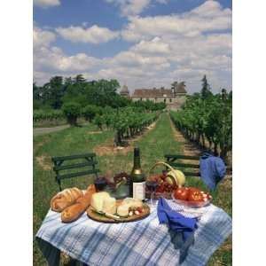  Table Set with a Picnic Lunch in a Vineyard in Aquitaine 