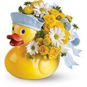  Telefloras Ducky Delight   Boy