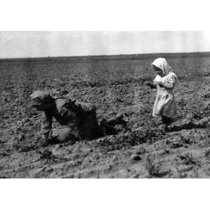  Beet Picker and Her Sister, Near Ordway, Colorado, 1915 