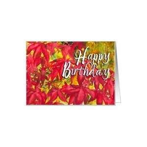  Japanese Maples   Happy Birthday Card Health & Personal 