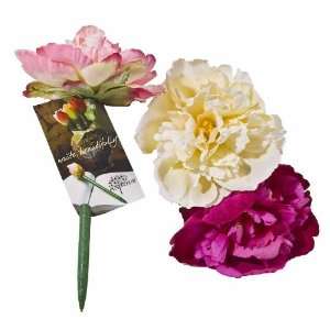  Peony Blooming Flower Pen