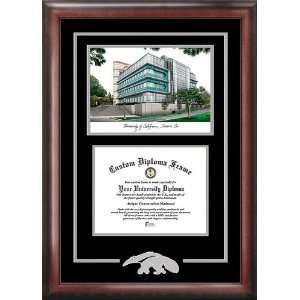  California Irvine Anteaters Spirit Diploma Frame with 