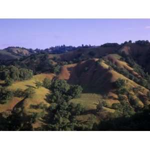  Rolling Hills of Sonoma Valley, Sonoma County, California 