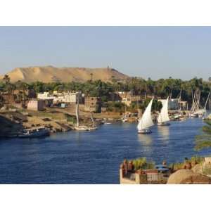 Elephantine Island and River Nile, Aswan, Egypt, North Africa Premium 