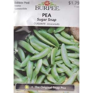  Burpee Sugar Snap Pea   225 Seeds Patio, Lawn & Garden