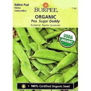  Burpee Organic Sugar Daddy Pea Seeds   1 oz Patio, Lawn & Garden