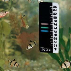 Thermometer, LCD, Sticks on Outside of Aquarium Tank  
