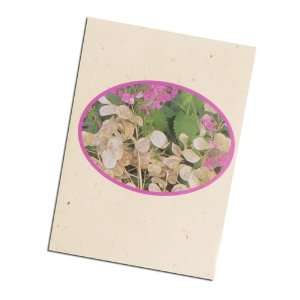  Promotional Seed Packet   Moneyplant (500)   Customized w 