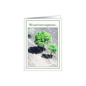 Arbor Day   Two Trees Card