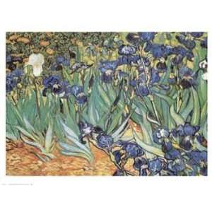  Vincent Van Gogh   Iris Garden