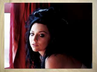 AN1148 rock band Evanescence Amy Lee POSTER  