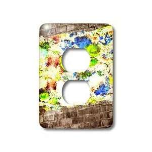 Susan Brown Designs General Themes   Abstract Motion   Light Switch 
