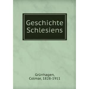    Geschichte Schlesiens Colmar, 1828 1911 GrÃ¼nhagen Books