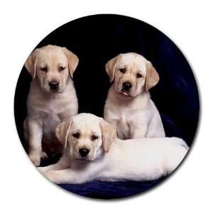  Cute puppies labs Round Mousepad Mouse Pad Great Gift Idea 